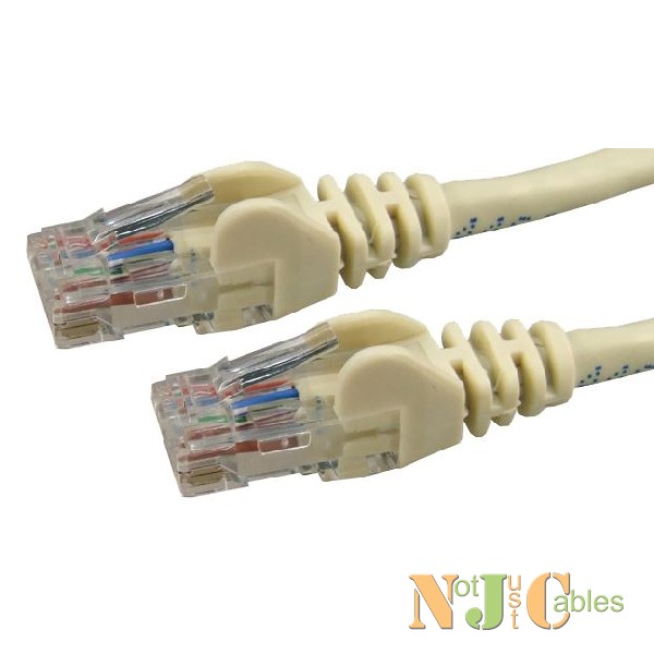 Cat6 Ivory Colour