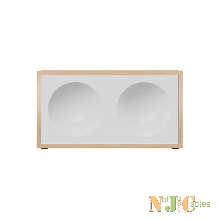 ONKYO Wireless Audio System